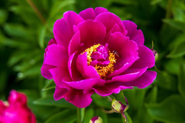 How can you create an eco-friendly and energy-saving kitchen in the UK?